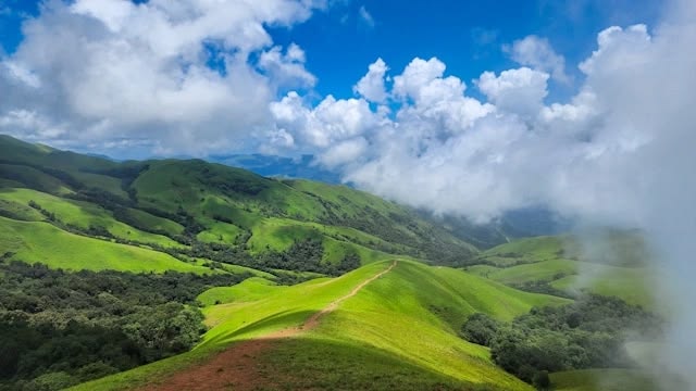 Chikmagalur Coffee Hills