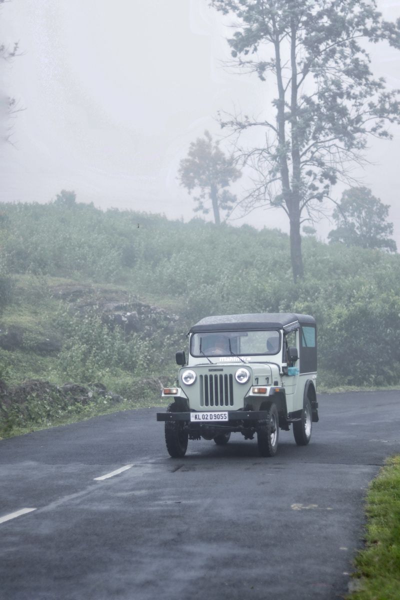 Vagamon Green Meadows