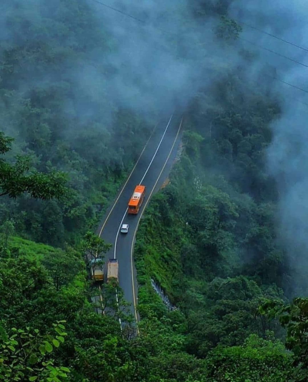 Wayanad Nature