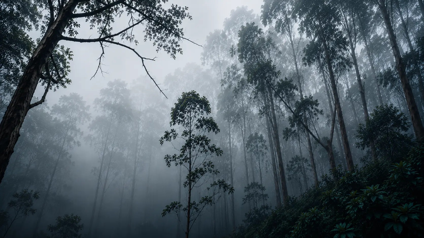 Kodaikanal
